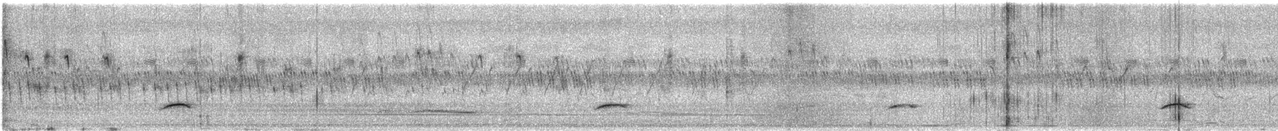 Rufous-tailed Lark - ML647499201