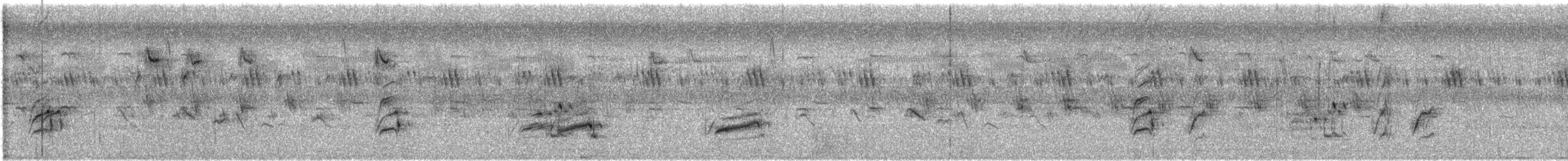 コウラウン - ML647499220