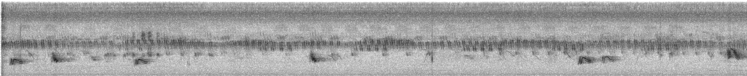 コウラウン - ML647499221