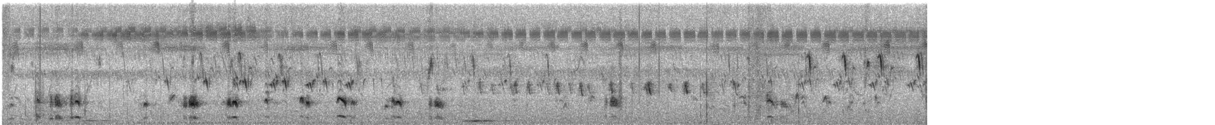 チャバラサケイ - ML647499231