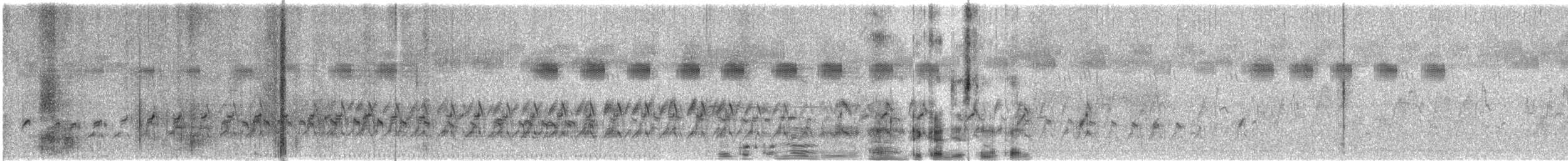 コチドリ - ML647499237