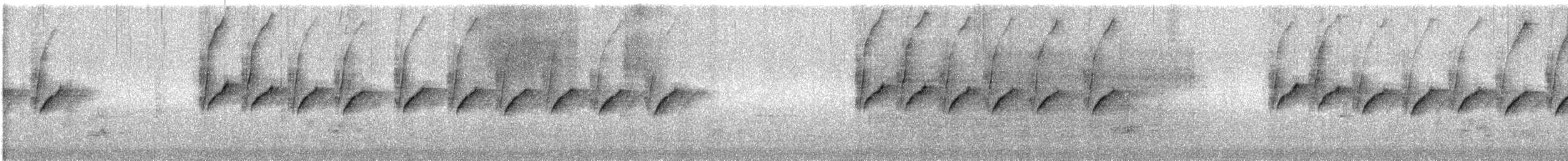 צופית סגולה - ML647499276