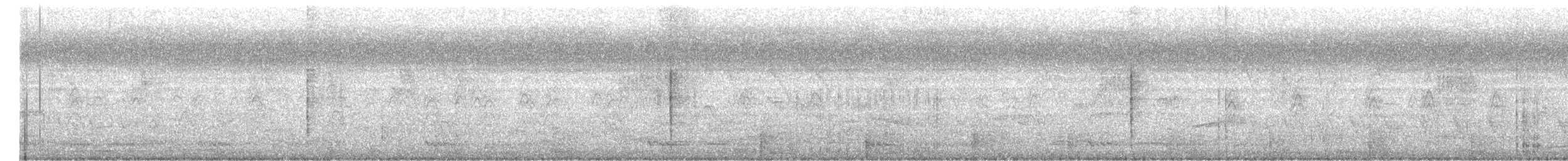 ברווז חד-זנב - ML647499291