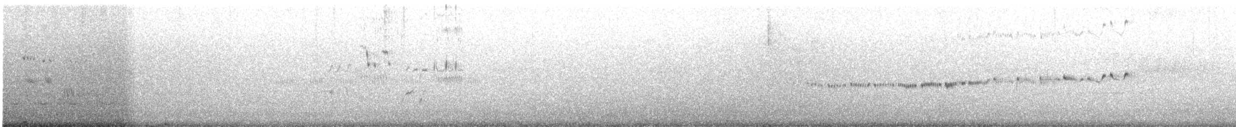 Plumbeous Redstart - ML647499540