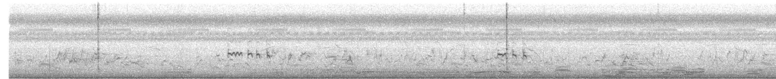 Ashy Prinia - ML647500323