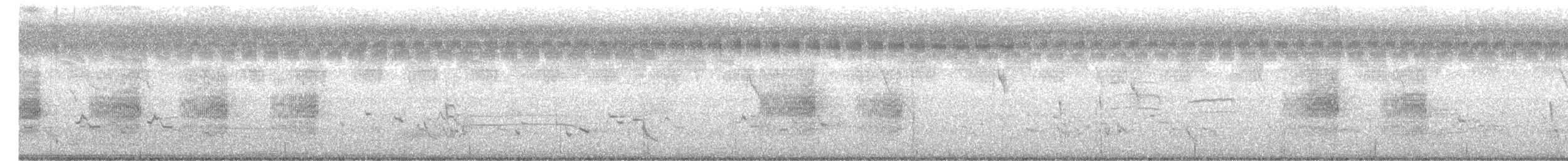 Long-tailed Shrike - ML647500328