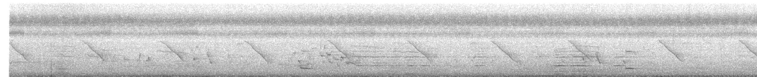 Rufous Treepie - ML647500417