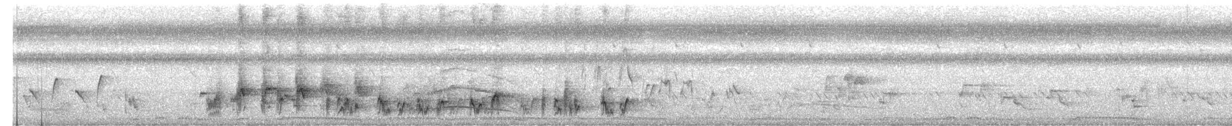 White-browed Bulbul - ML647500423