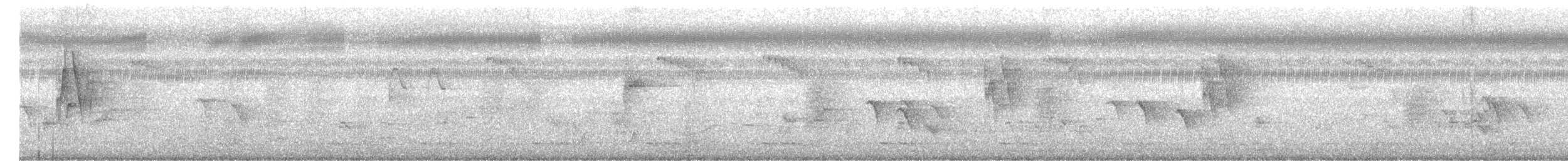 Txio kaukasoarra - ML647500424