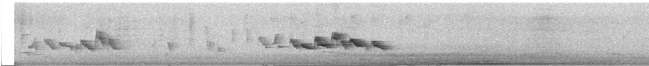 Cape White-eye (Cape) - ML647500527