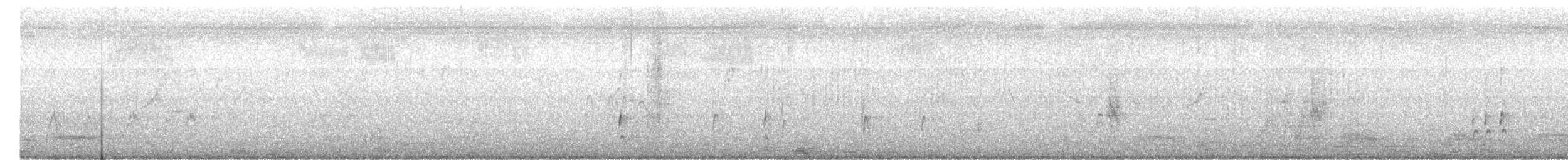 Brahminy Starling - ML647500595