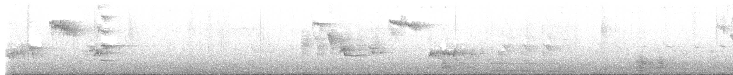 Txantxangorria - ML647500665