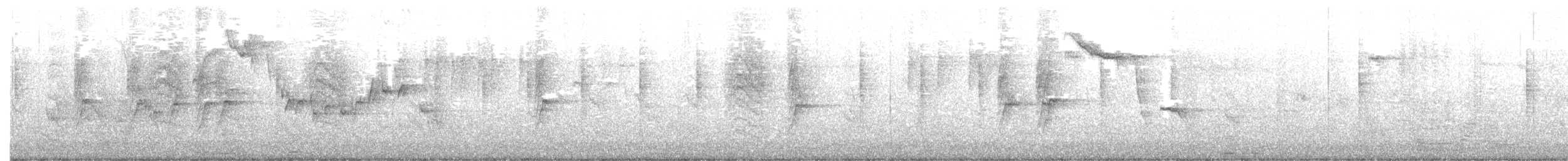 Txonta arrunta - ML647500673