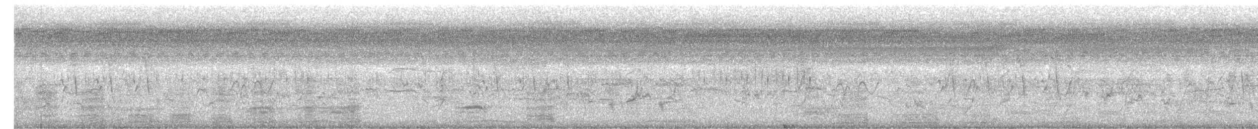 Beltzaran arrunta - ML647500683