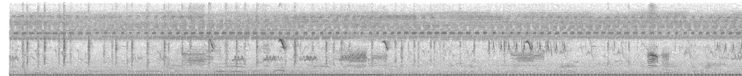 Pitxartxar siberiarra - ML647500687