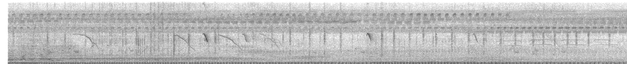 Pitxartxar siberiarra - ML647500688