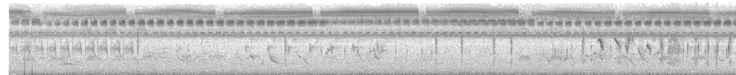 Pitxartxar siberiarra - ML647500689