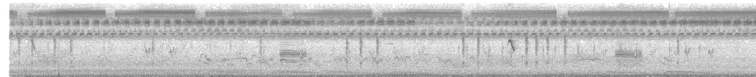 Pitxartxar siberiarra - ML647500690