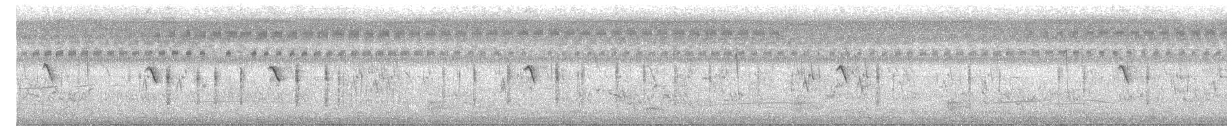 Pitxartxar siberiarra - ML647500691