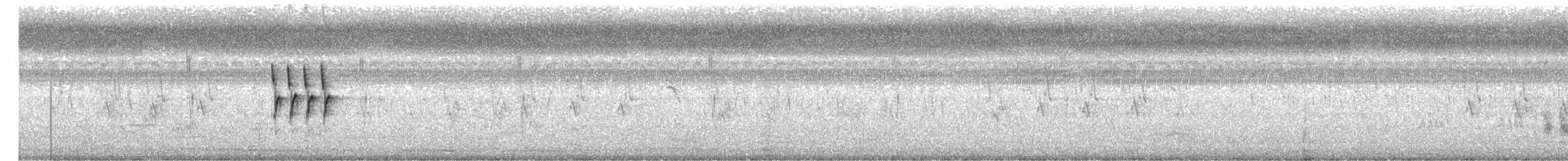 Ashy Prinia - ML647500694