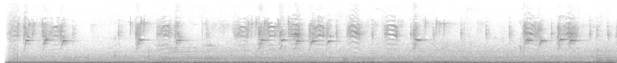 Txonta arrunta - ML647500748