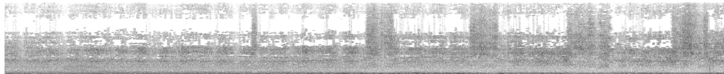 Papagai bulargrisa - ML647500780