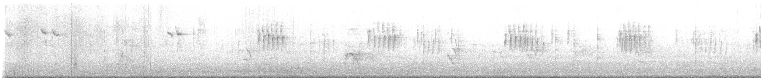 Txirriskila arrunta - ML647500800