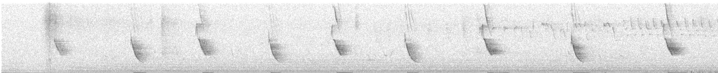 Cape Sparrow - ML647500890