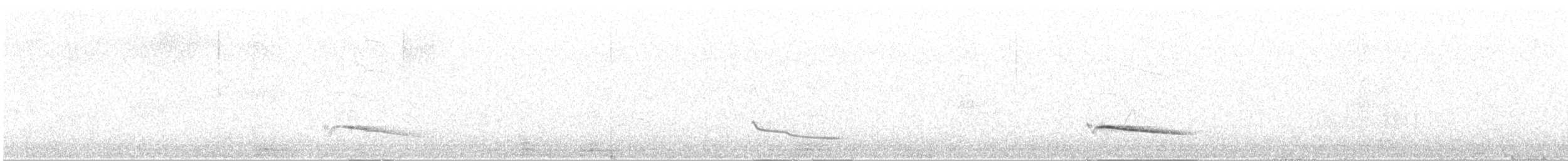 Red-winged Starling - ML647500910