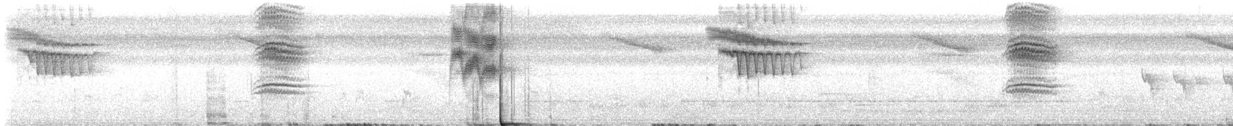 White-browed Forest-Flycatcher - ML647501398