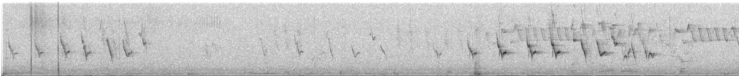 Kap Çintesi - ML647501563