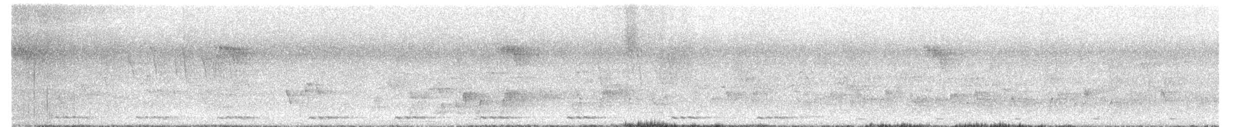 Brown-headed Barbet - ML647501622