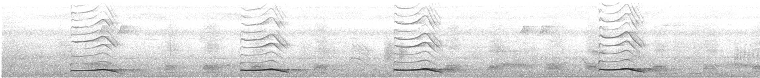 Asian Koel - ML647502394