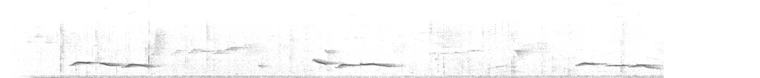 Abbott's Babbler - ML647502496