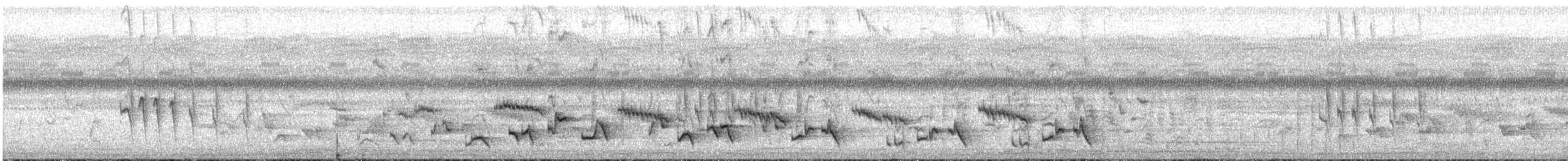 Cosifa de Heuglin - ML647502730
