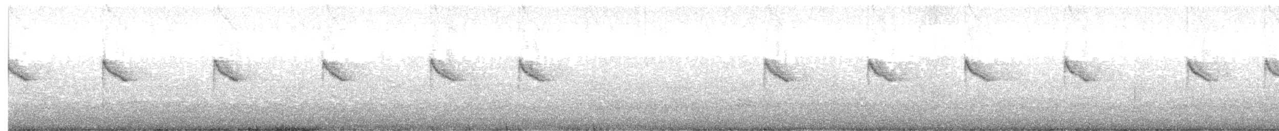 Ornate Sunbird - ML647503470