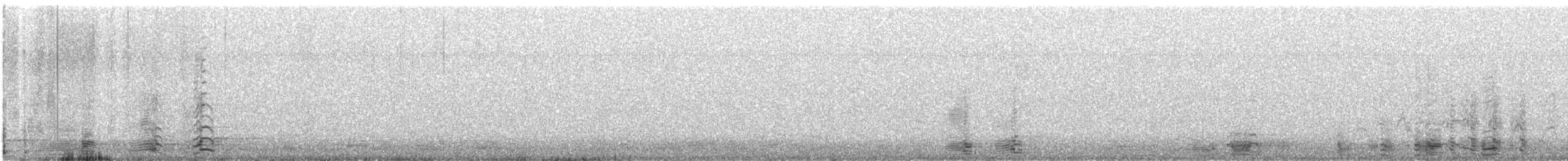 berneška velká - ML647503570