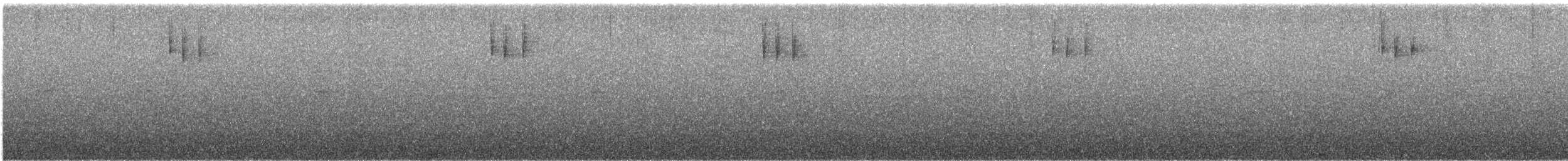 strnad čínský - ML647503731