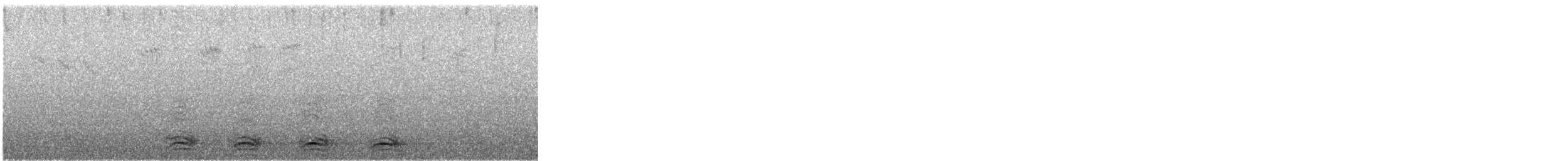 vrána tlustozobá [skupina macrorhynchos] - ML647503732