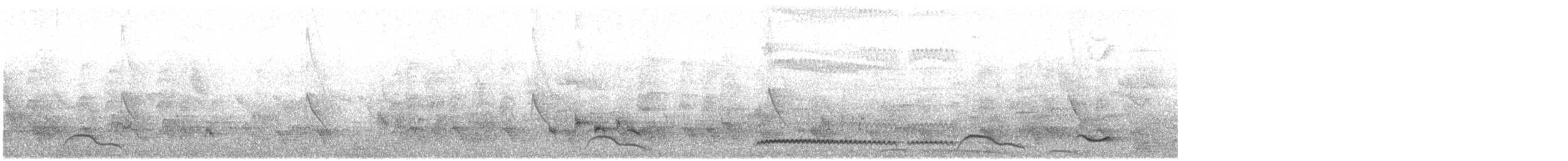 Charlatán Golinegro - ML647504101