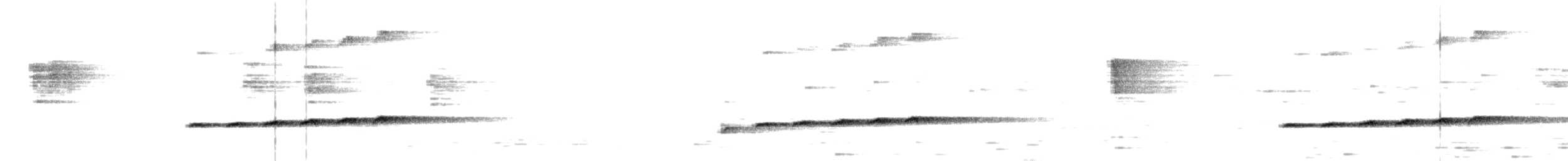 glansdrongogjøk - ML647505177