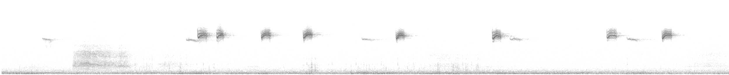 סתרי מצוי - ML647506049