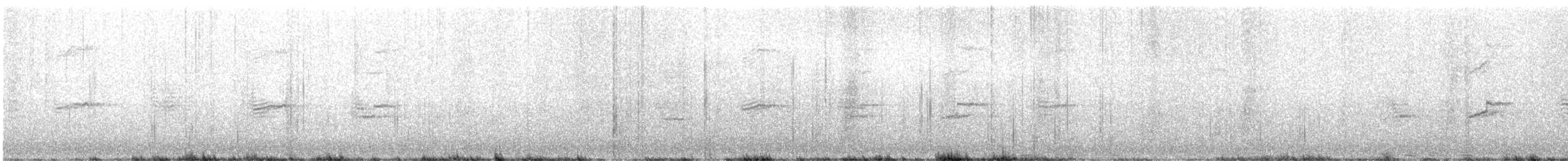 ミサゴ - ML647506936