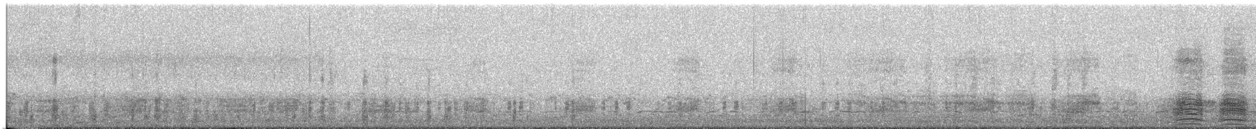 Germano reale - ML647507051