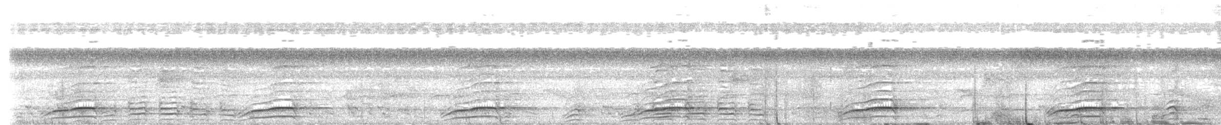 Laughing Falcon - ML647507153