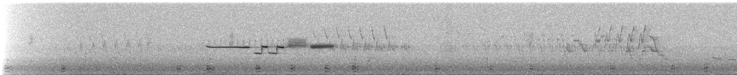 White-crowned Sparrow - ML647507363