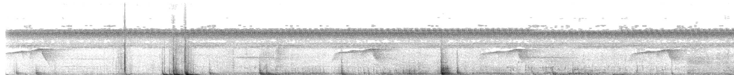 Dot-backed Antbird - ML647507374