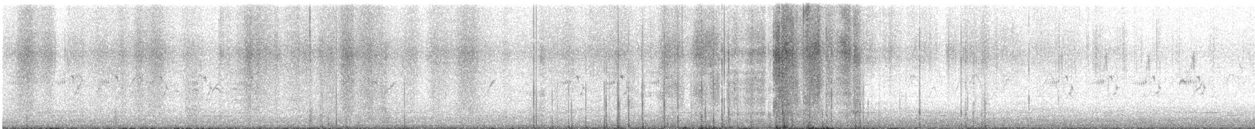 Graceful Prinia - ML647507435