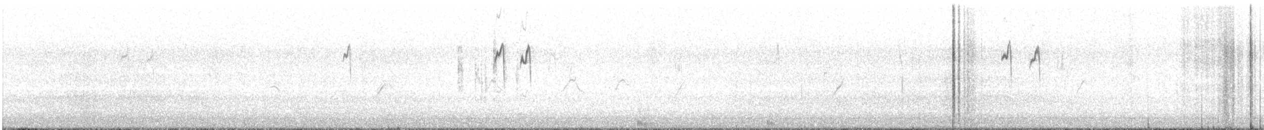 Pispola - ML647507463