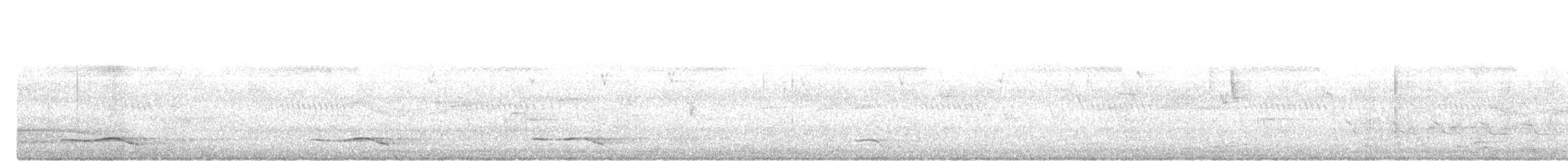 Asian Koel - ML647507615